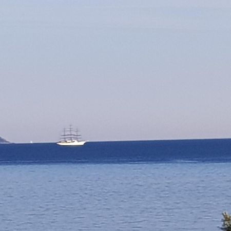 Vieille Ville D Ajaccio De 1 A 4 Pers A 300M Du Port Et A 15 Mn De Laeroport Proches De Plus Belles Plages Et Ttes Commodites A Proximite Exterior photo